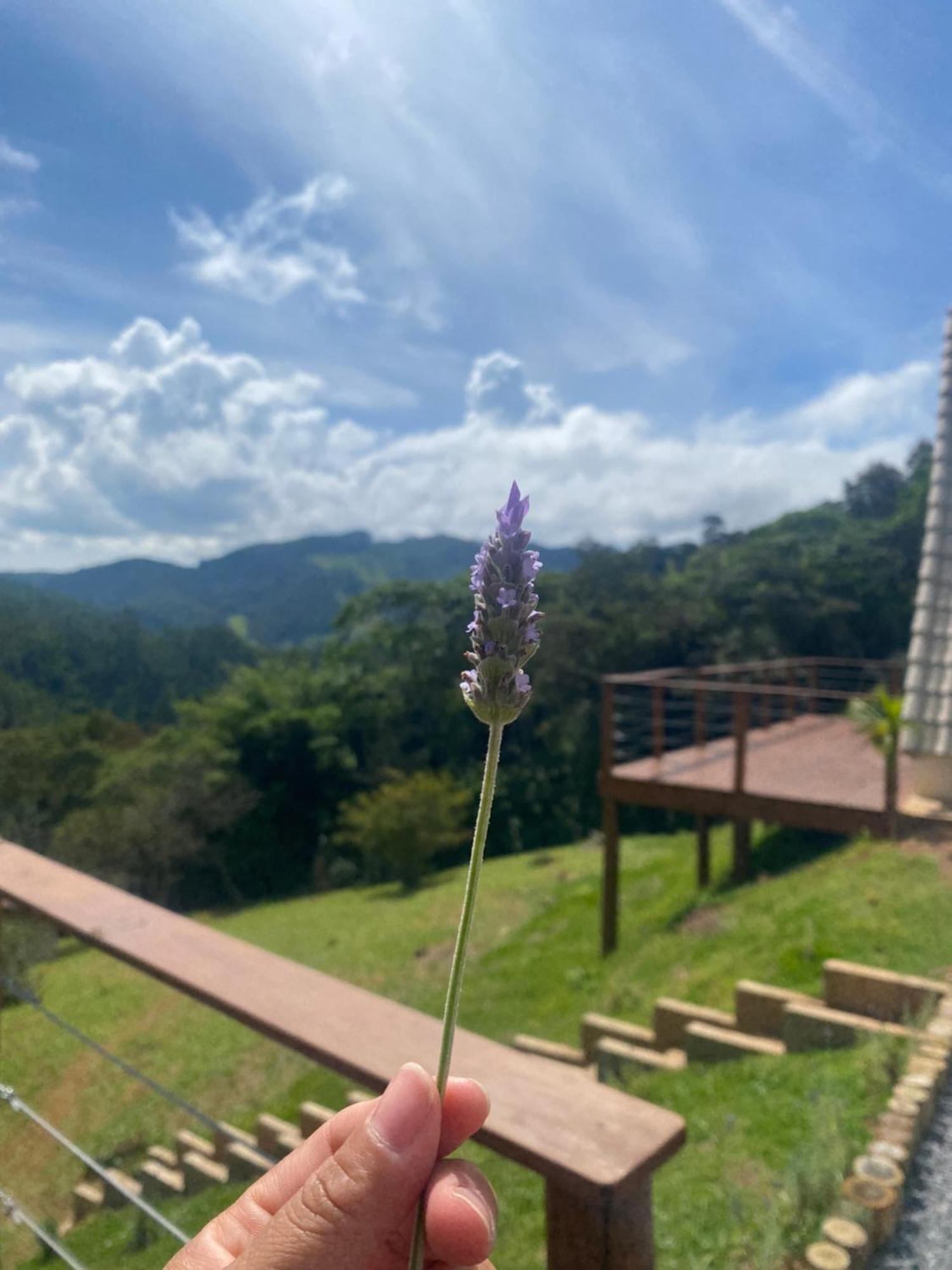 Chales Fazenda Floresta Das Araucarias Cunha Eksteriør bilde