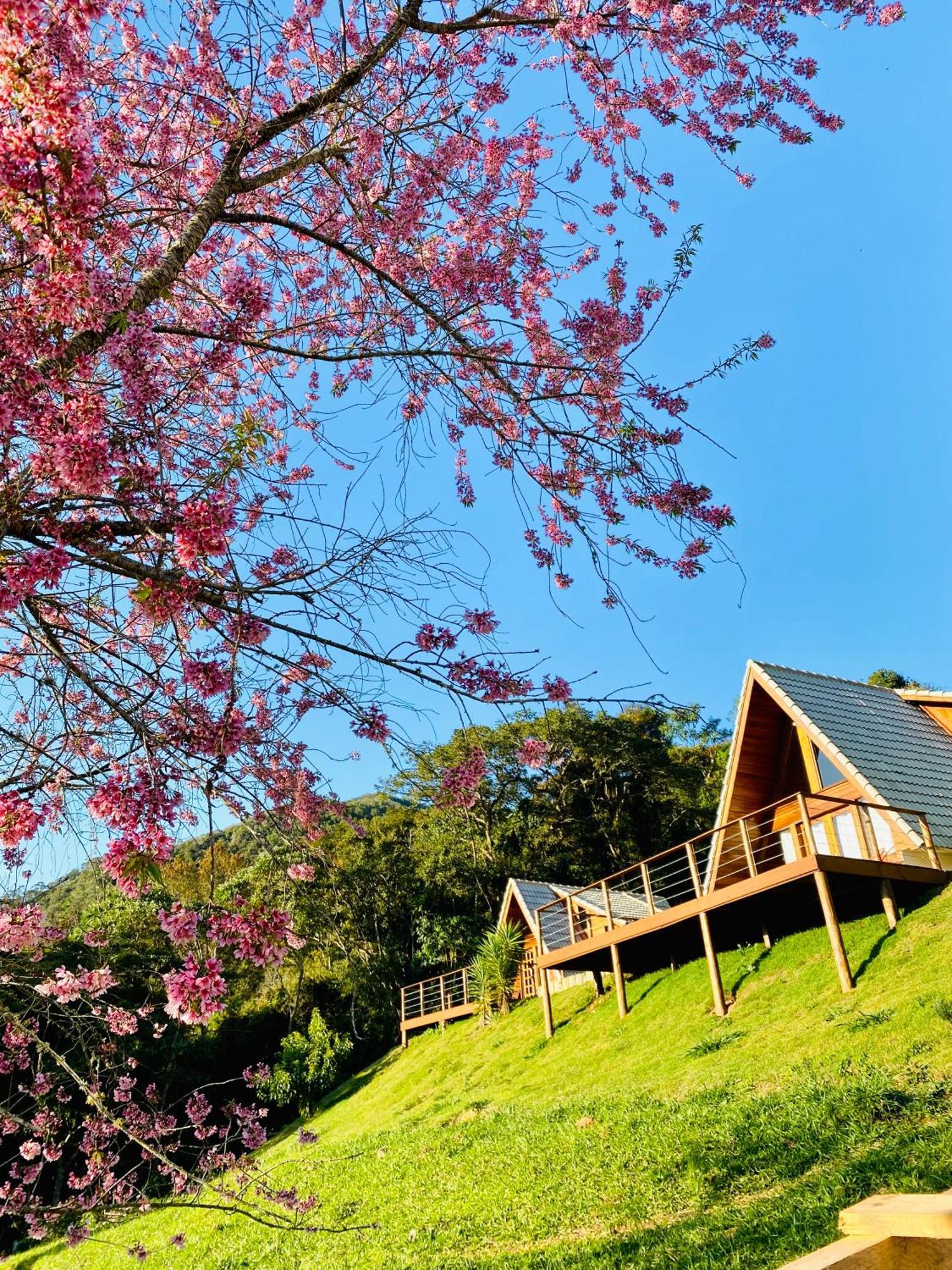 Chales Fazenda Floresta Das Araucarias Cunha Eksteriør bilde