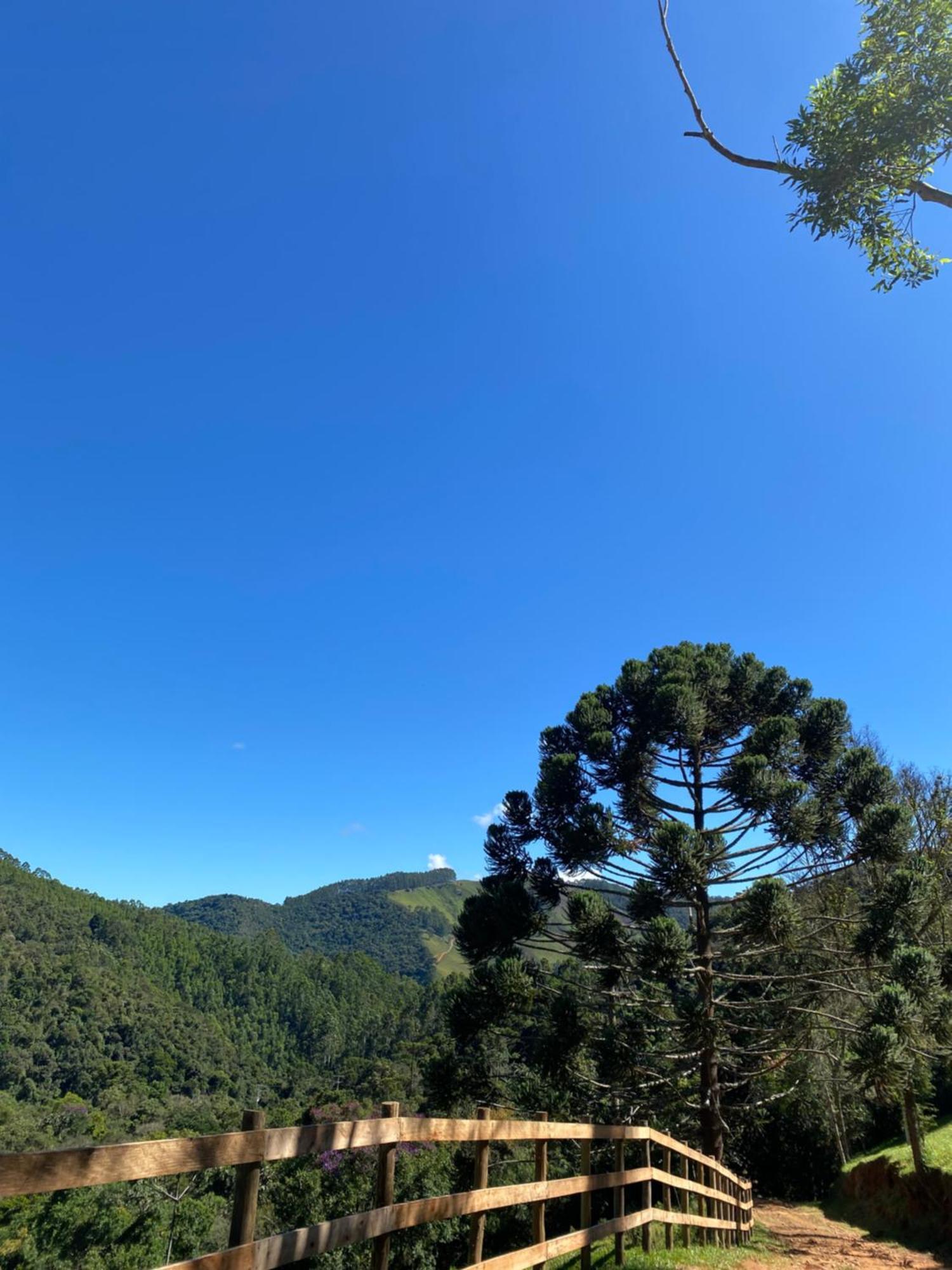 Chales Fazenda Floresta Das Araucarias Cunha Eksteriør bilde