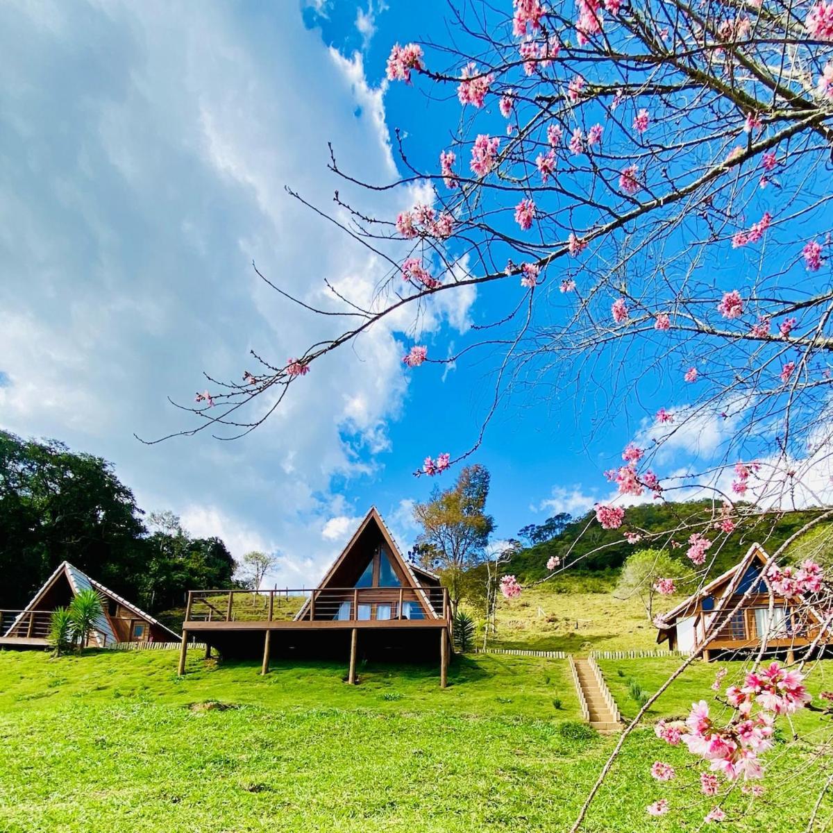 Chales Fazenda Floresta Das Araucarias Cunha Eksteriør bilde